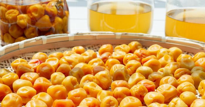 100均の棚に並んだ様々なサイズのガラス製梅酒瓶と選ぶポイント