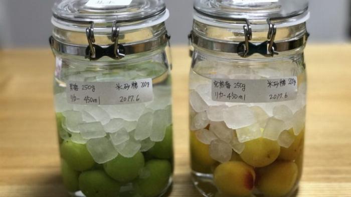 ボンベイ・サファイアと新鮮な青梅、氷砂糖を使った自家製梅酒の材料