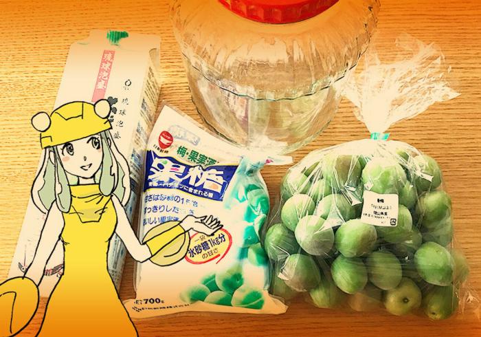 自家製の梅酒作り、青梅と氷砂糖が瓶の中で美しく層をなしている様子