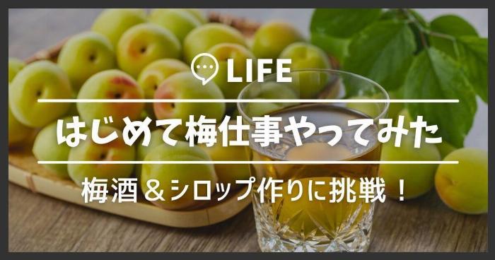 セリアの瓶に青梅と氷砂糖を入れてホワイトリカーを注いだ直後の梅酒