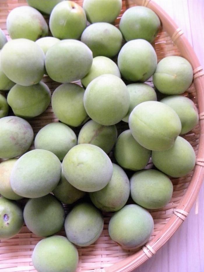 完成したばかりのセリアの瓶に入った手作り梅酒がキッチンカウンターに置かれている