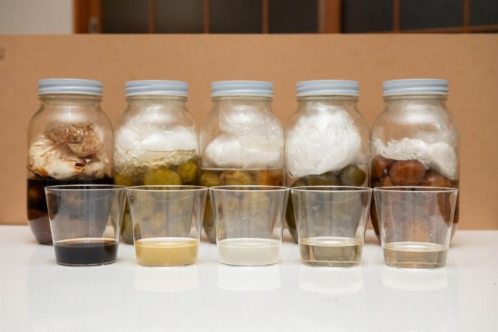 手作り梅酒の瓶に入った青梅と氷砂糖の初期段階の様子