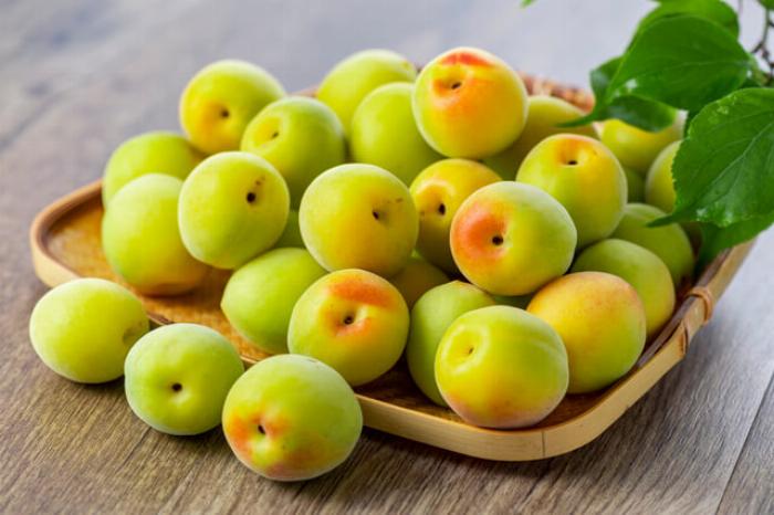 傷あり梅を使った梅酒作りで重要な、使用可能な梅と使用不可な梅の見分け方を比較した画像