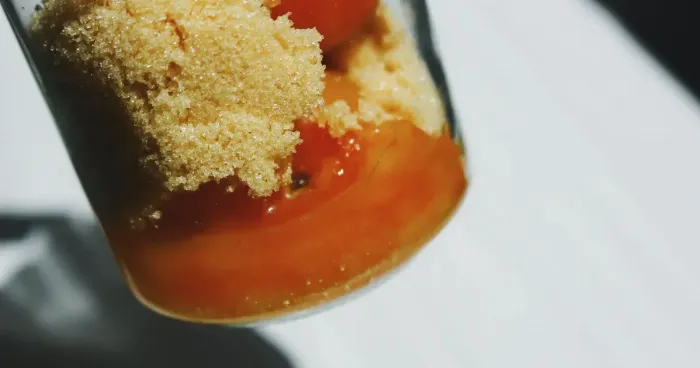 梅酒ソーダのグラスに新鮮なレモンの輪切りとミントの葉を添えるクローズアップ