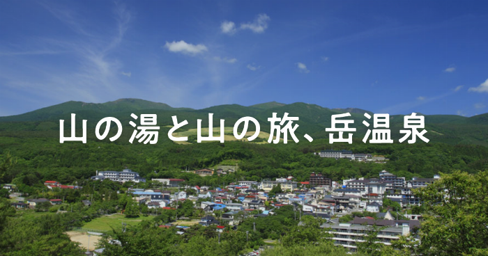 色とりどりの梅酒が並んだテイスティングセットのクローズアップ写真