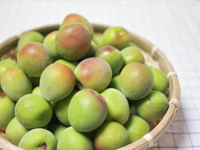 焼酎25度を使った梅酒作りのための青梅、氷砂糖、保存瓶の準備風景