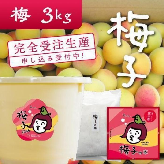 自家製梅酒の瓶に入った梅の実を取り出す最適なタイミングを見極める方法